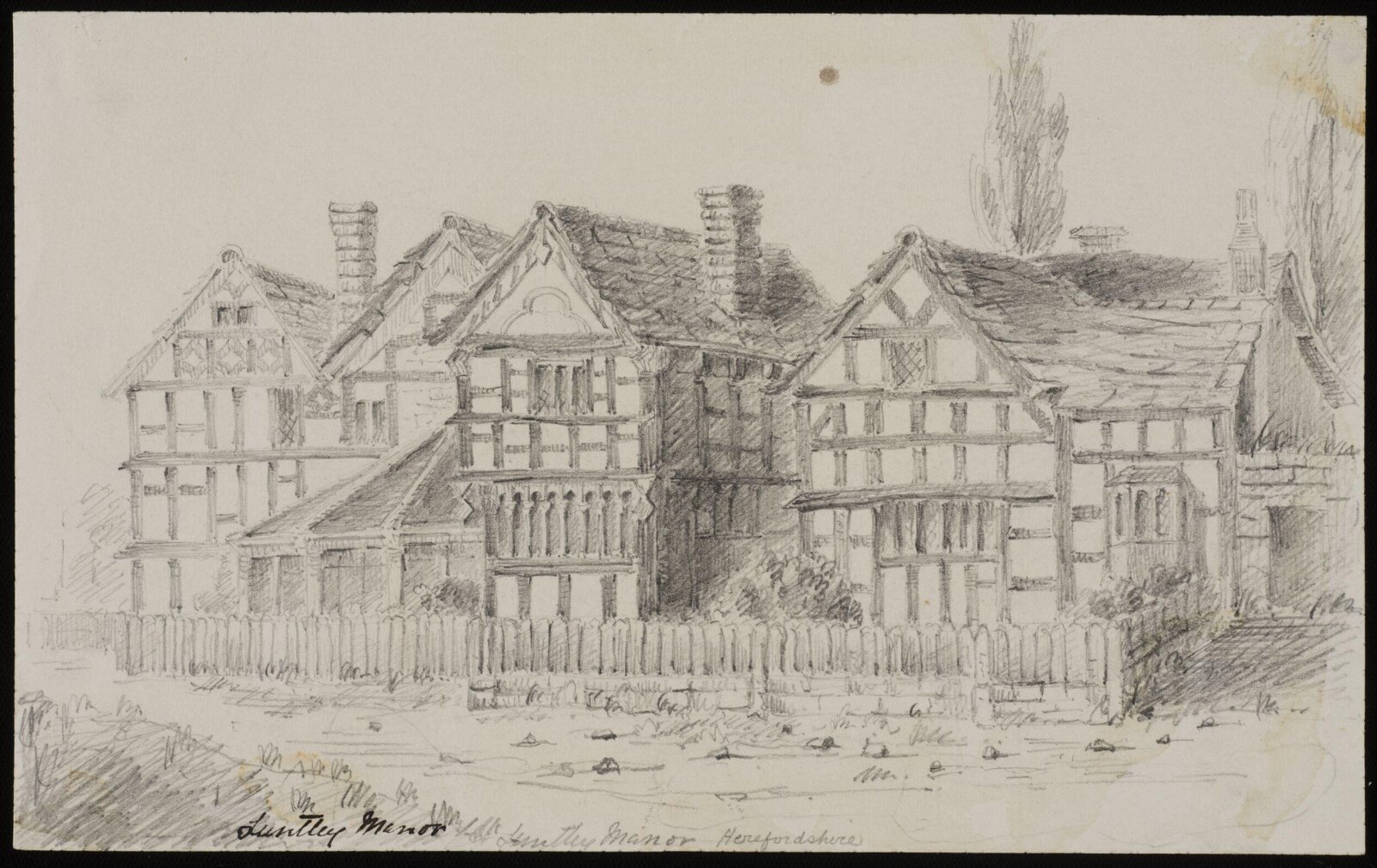 Drawing