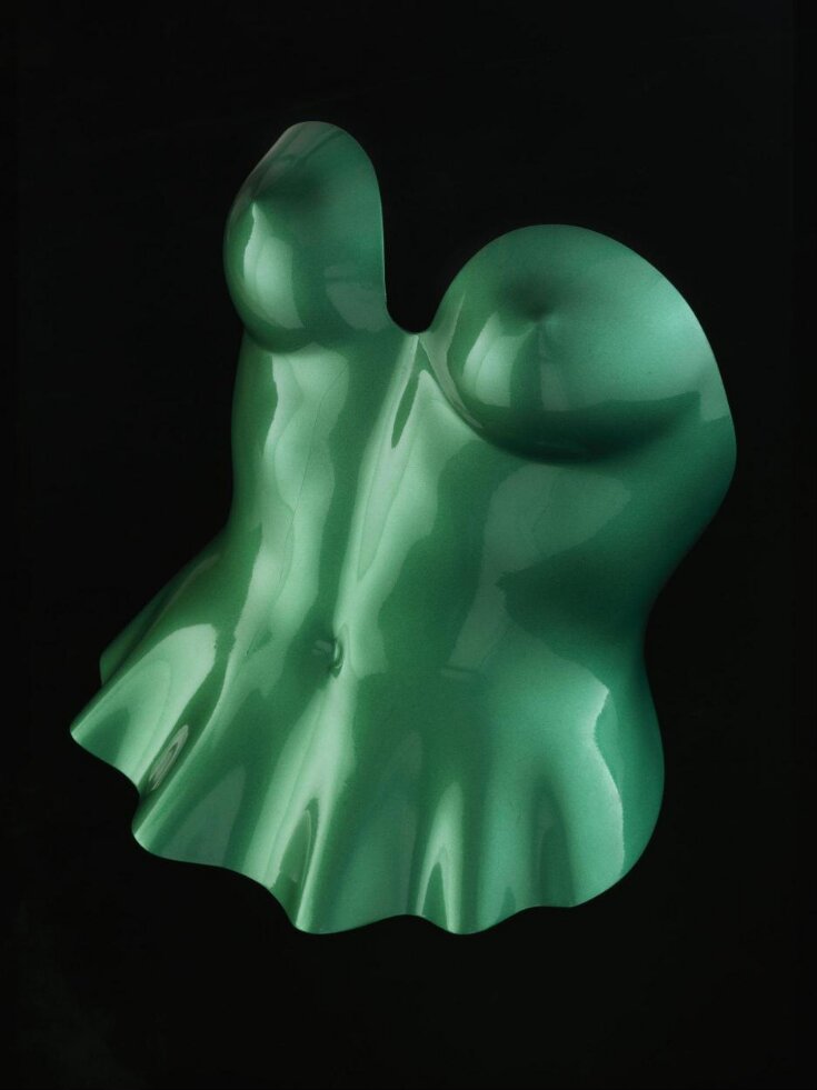 Plastic Body top image