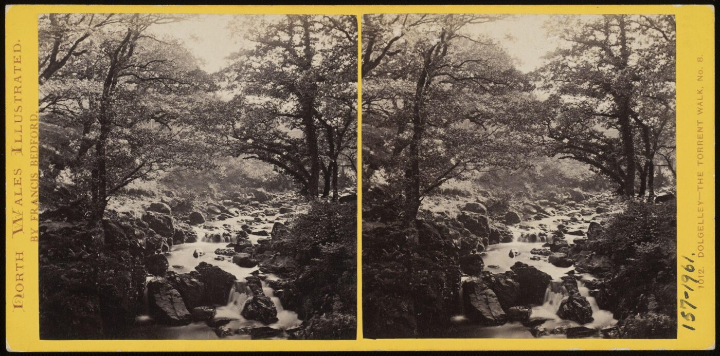 Francis Bedford, Dolgelley - The Torrent Walk, no8