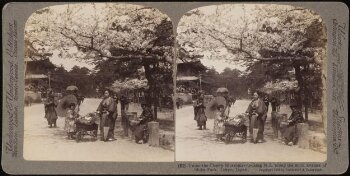 Under the cherry-blossoms, Tokyo