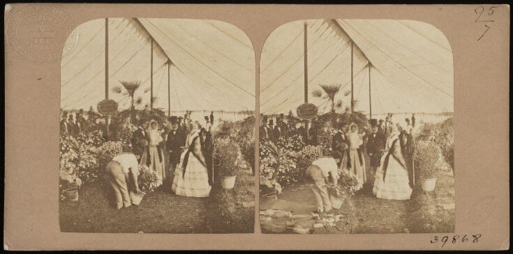 Interior of Mr Pince's Flower Exhibition Tent, The Mayor and Mrs Bremridge in the foreground top image
