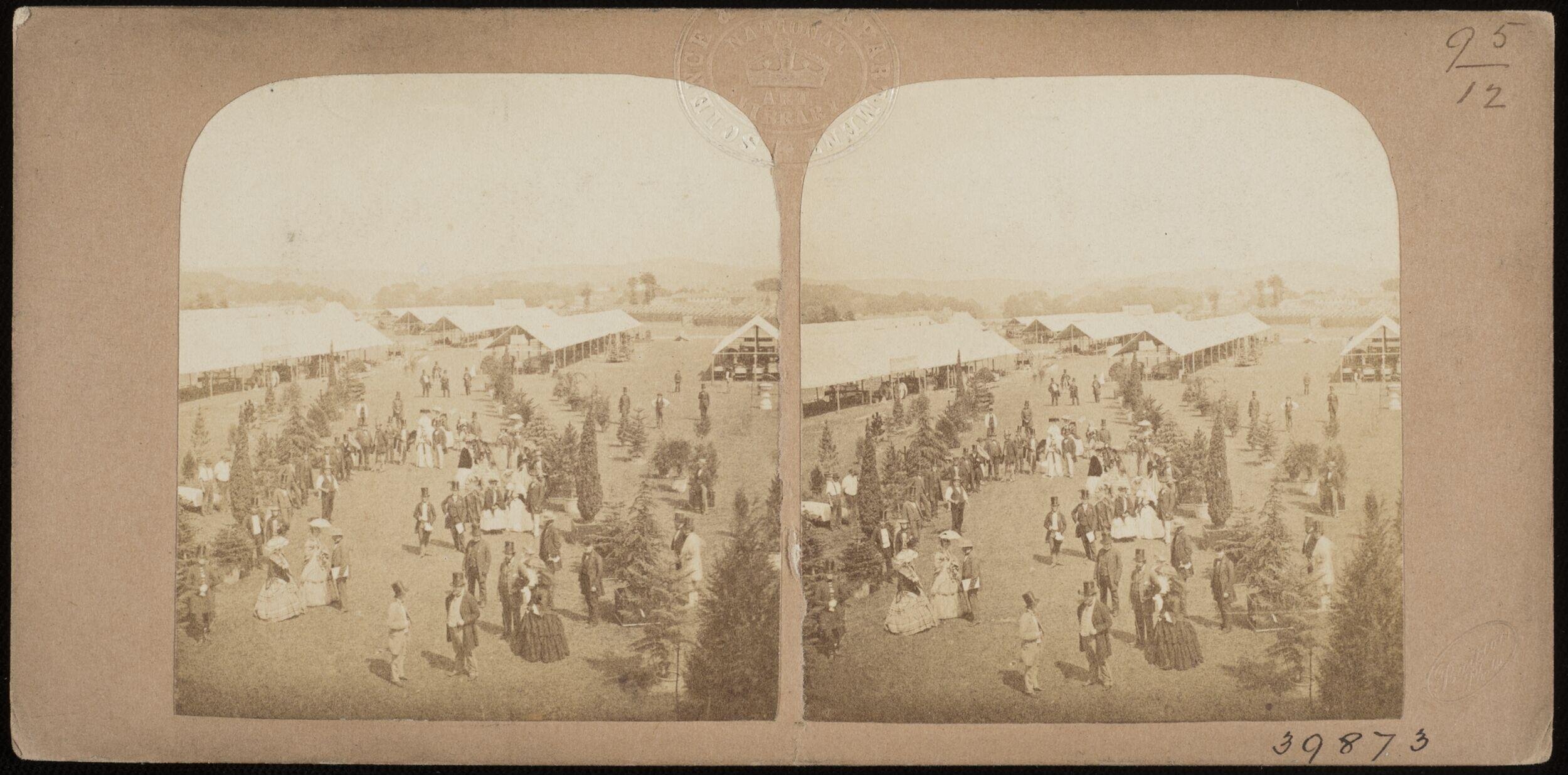 Grand View of Yard