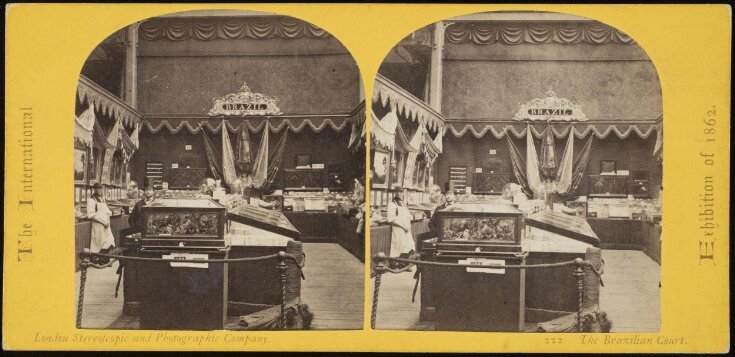 The Brazilian Court at the 1862 Great Exhibition top image