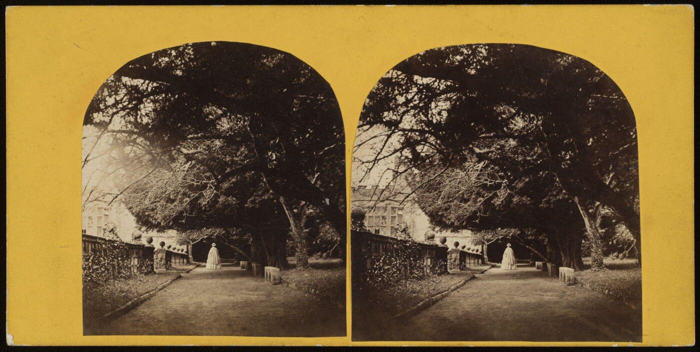 Unknown, View of a path in the grounds of country house