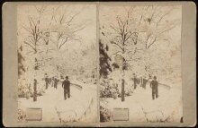 Stereoscopic photograph depicting a man shovelling snow thumbnail 1