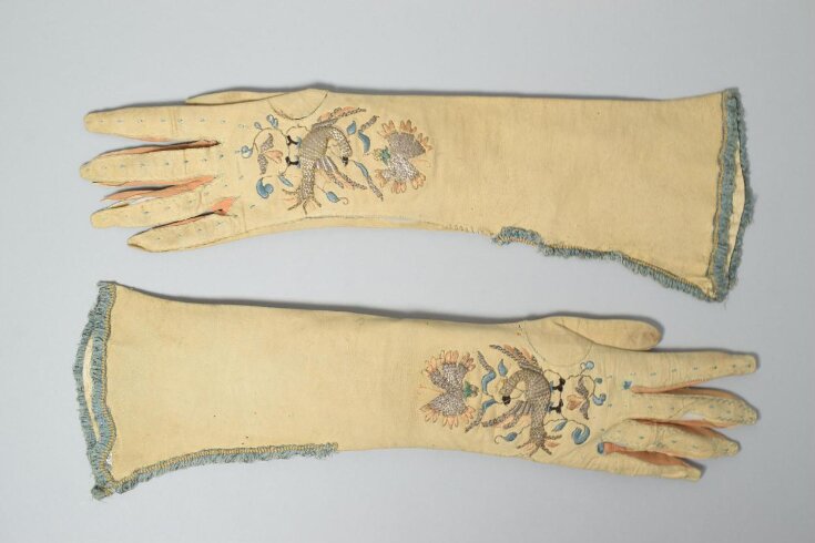 Pair of Gloves top image