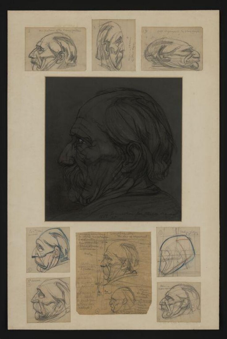 Study of the head of an old man, probably Walter Warden top image