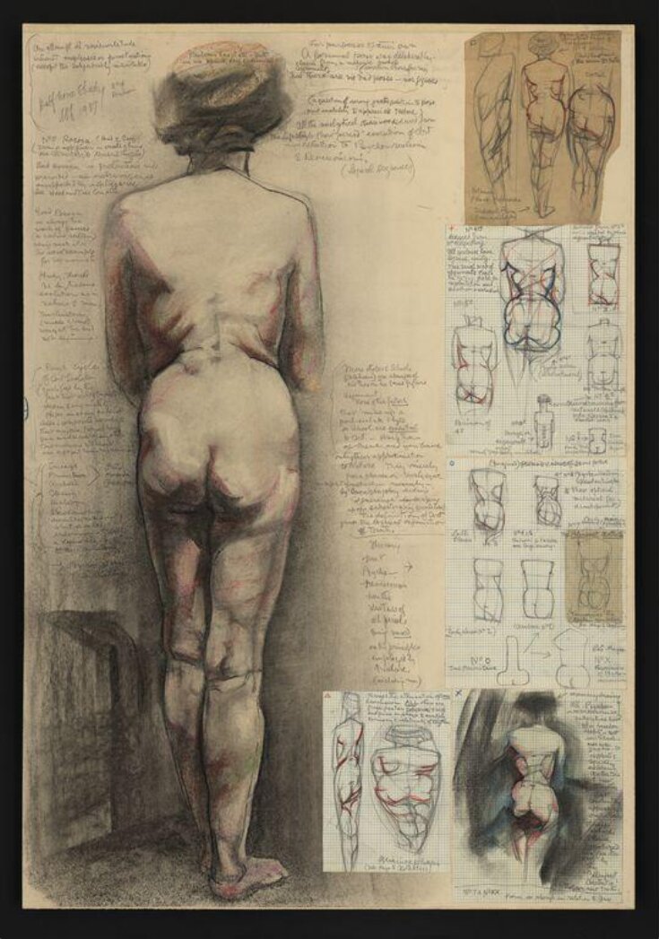 Study of a female nude top image