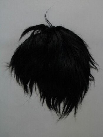 Beatles Wig