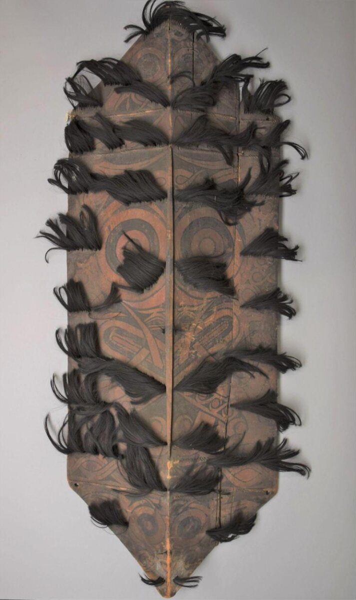 Shield, Unknown · 19th century · Borneo