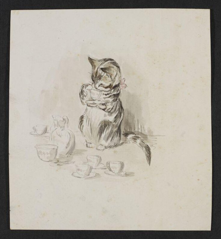 A cat drinking from a cup and saucer top image