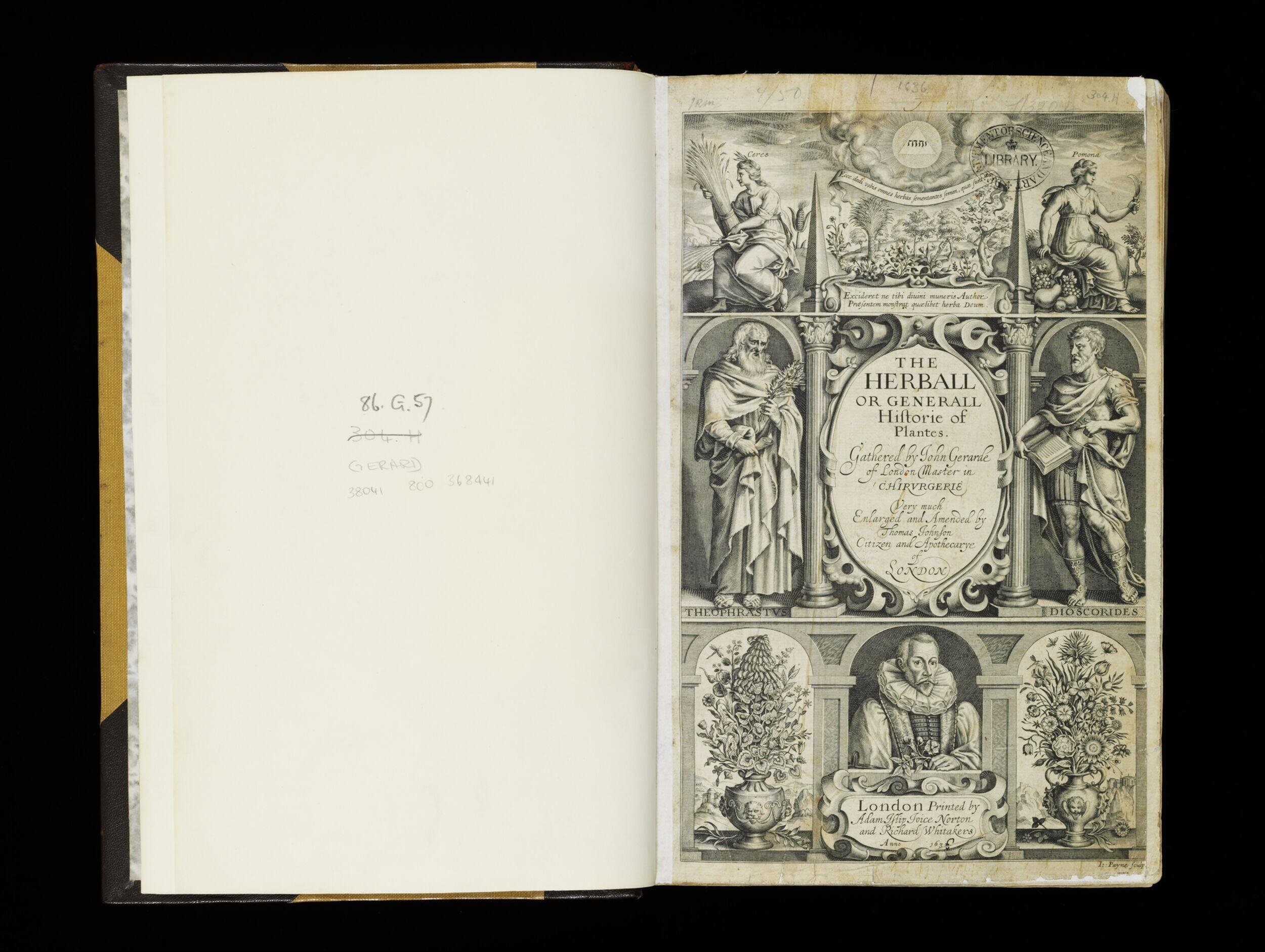 The herball or Generall historie of plantes