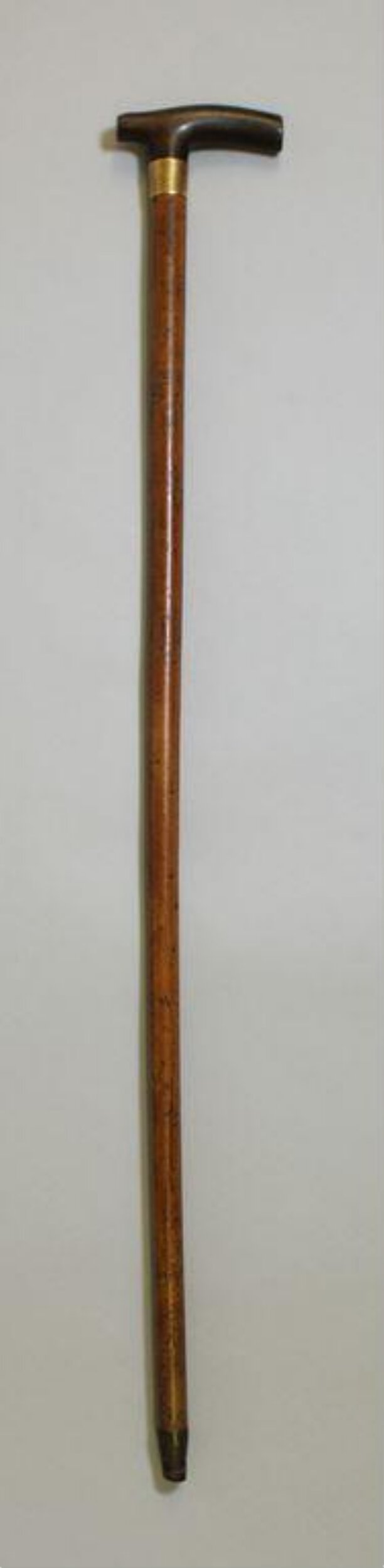 Walking Stick top image