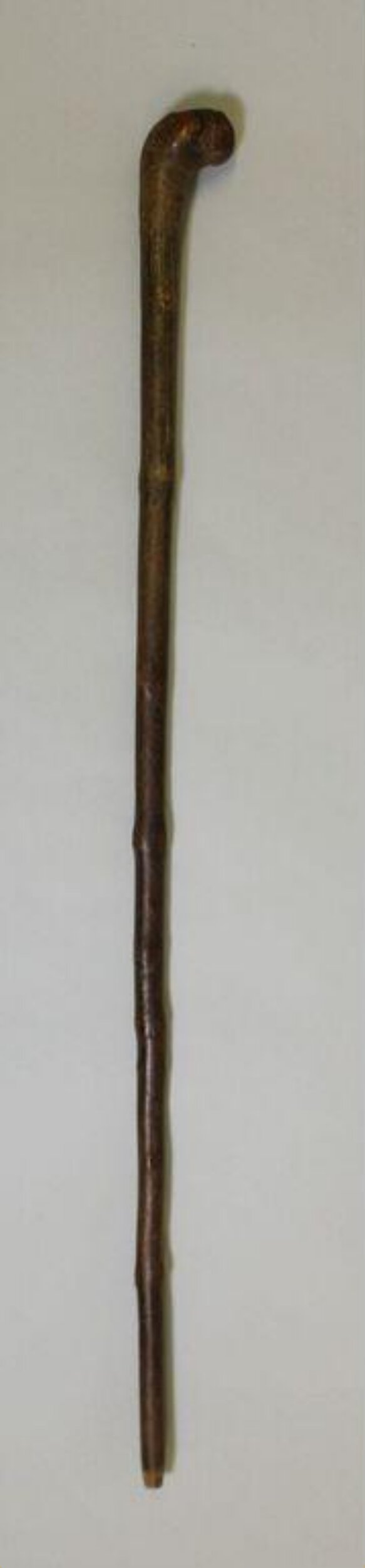 Walking Stick V&A Explore The Collections