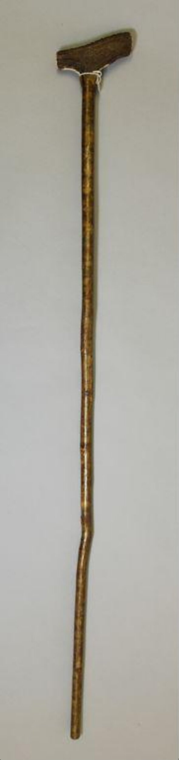 Walking stick used on stage by Campbell Singer top image