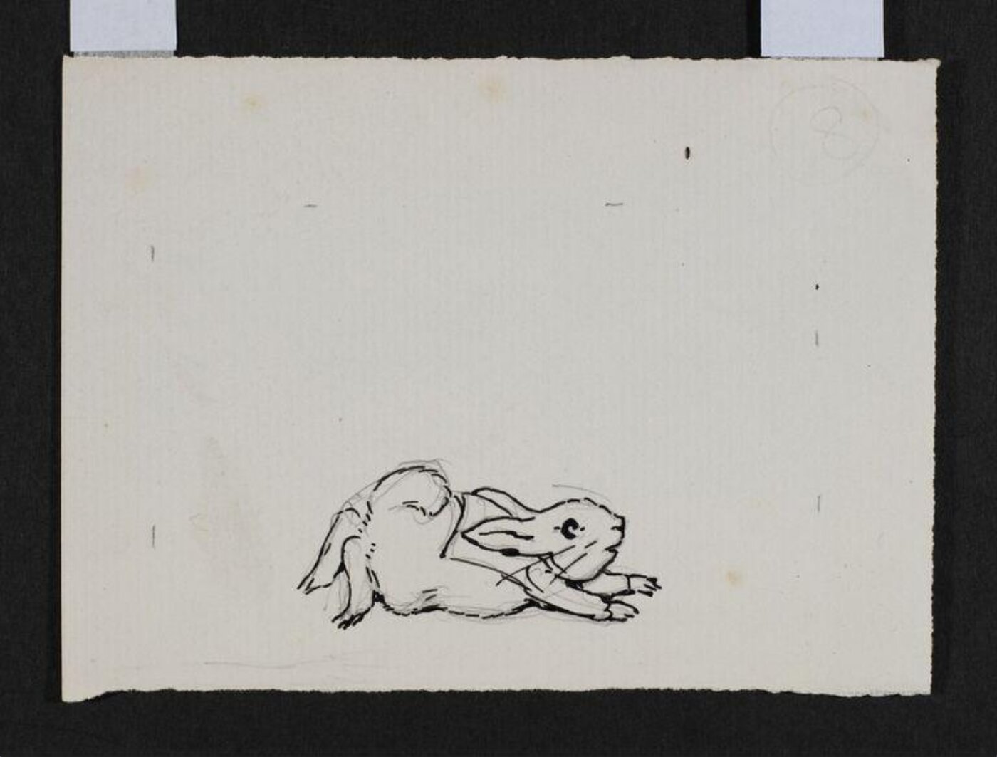 Potter, Beatrix, drawing
