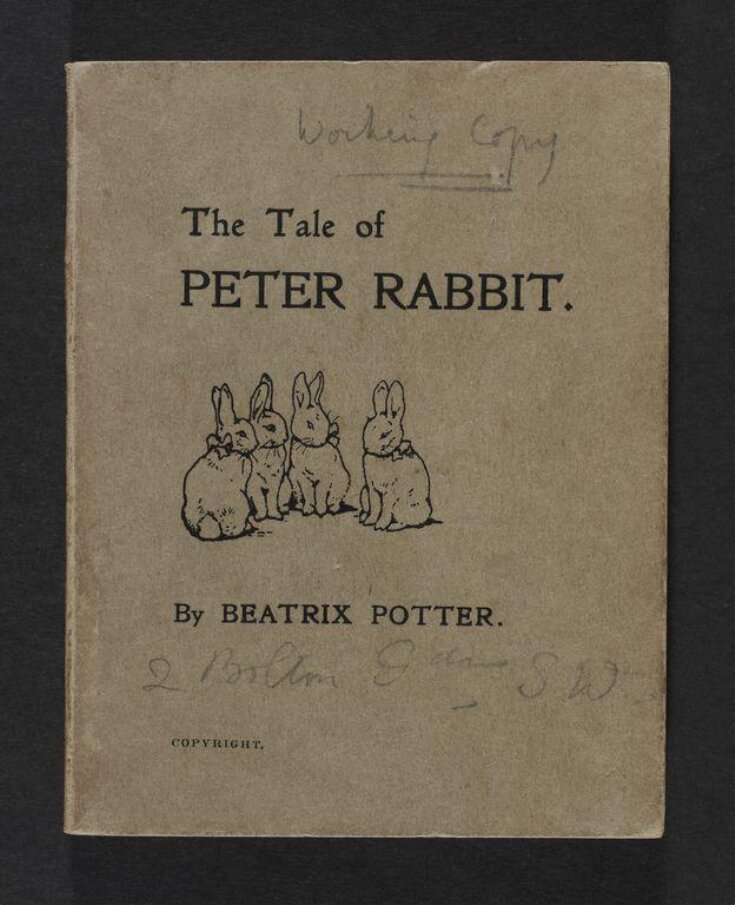 The Tale of Peter Rabbit top image