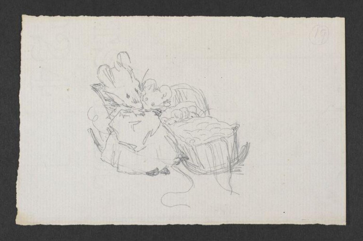 Potter, Beatrix, drawing