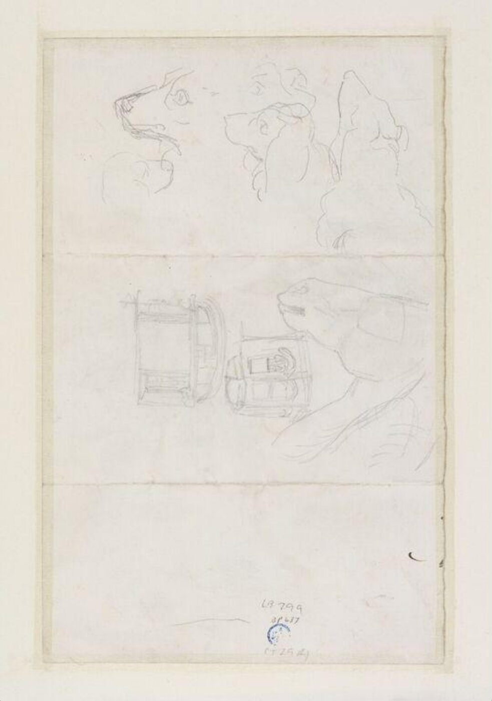 Potter, Beatrix, drawing
