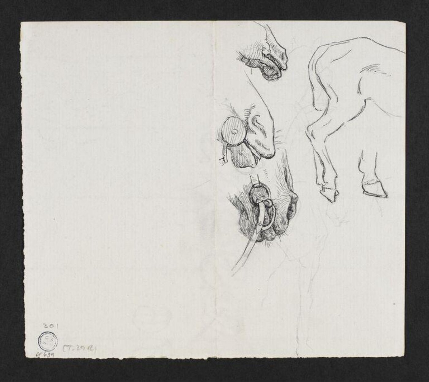 Potter, Beatrix, drawing