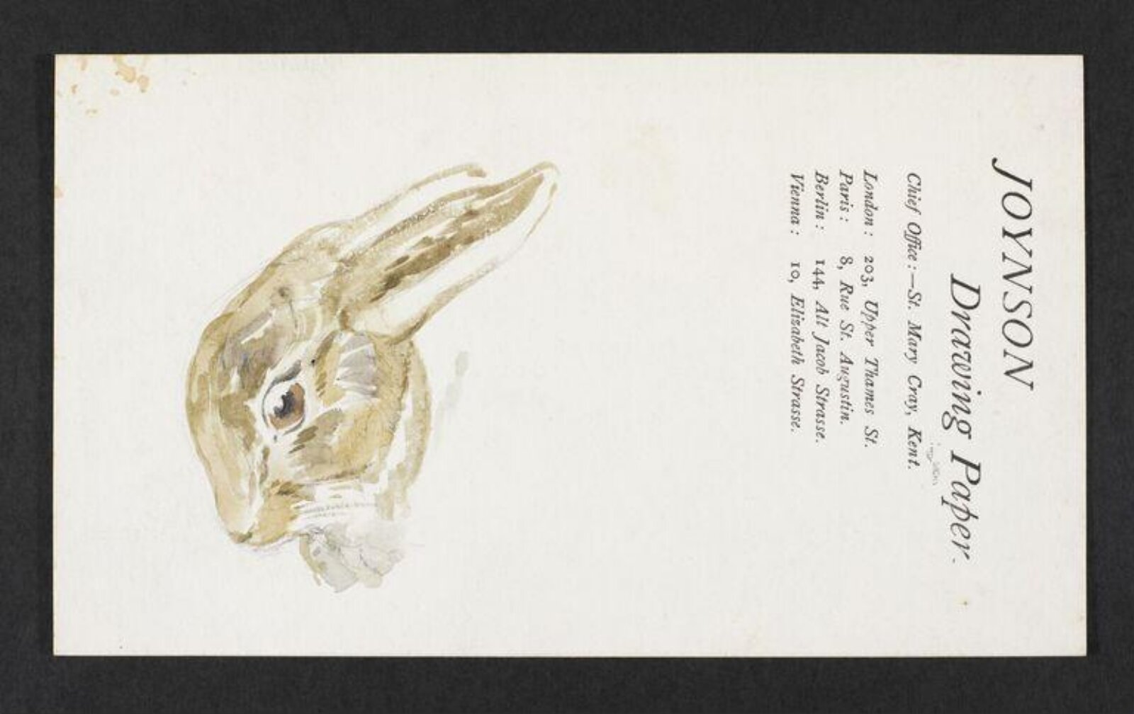Watercolour, Beatrix Potter, late 19th century - early 20th century