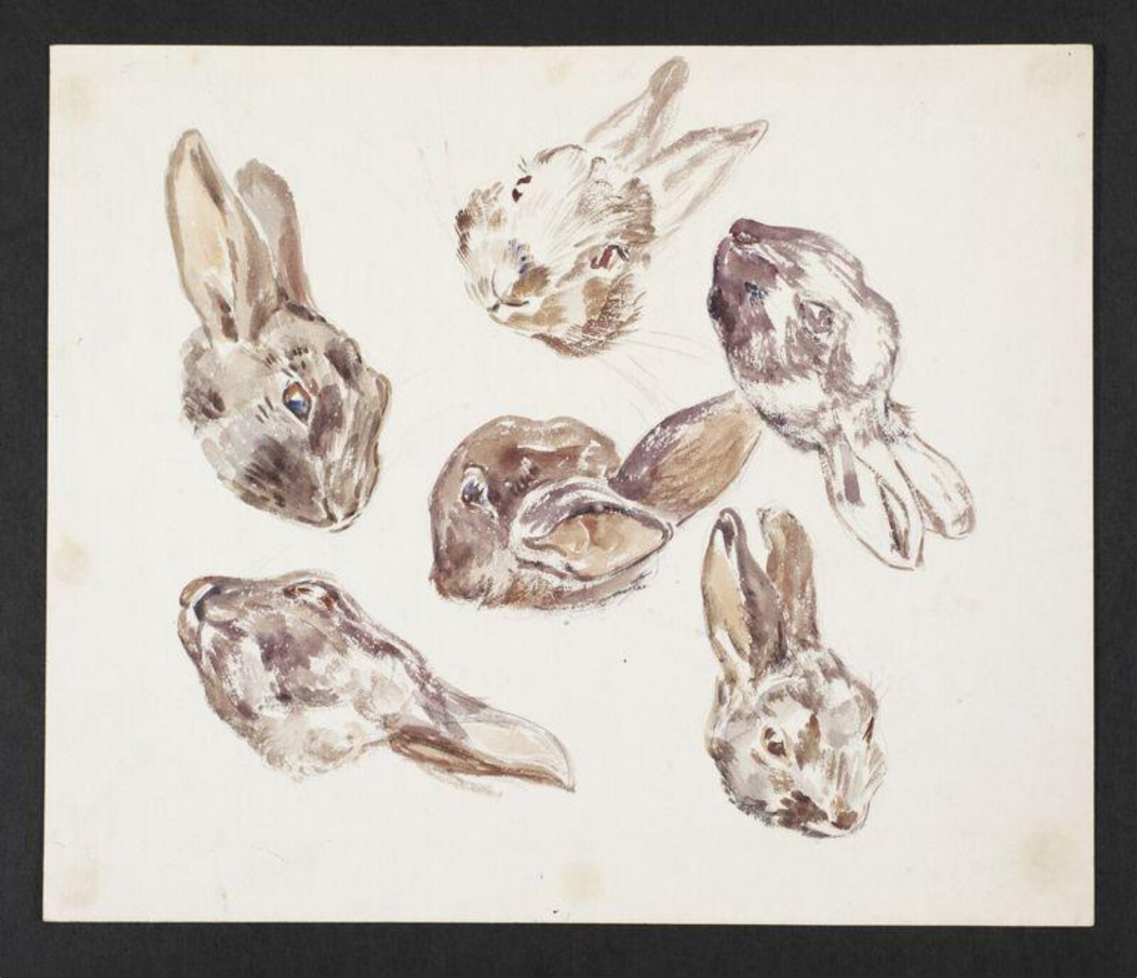 Watercolour, Beatrix Potter, ca. 1904