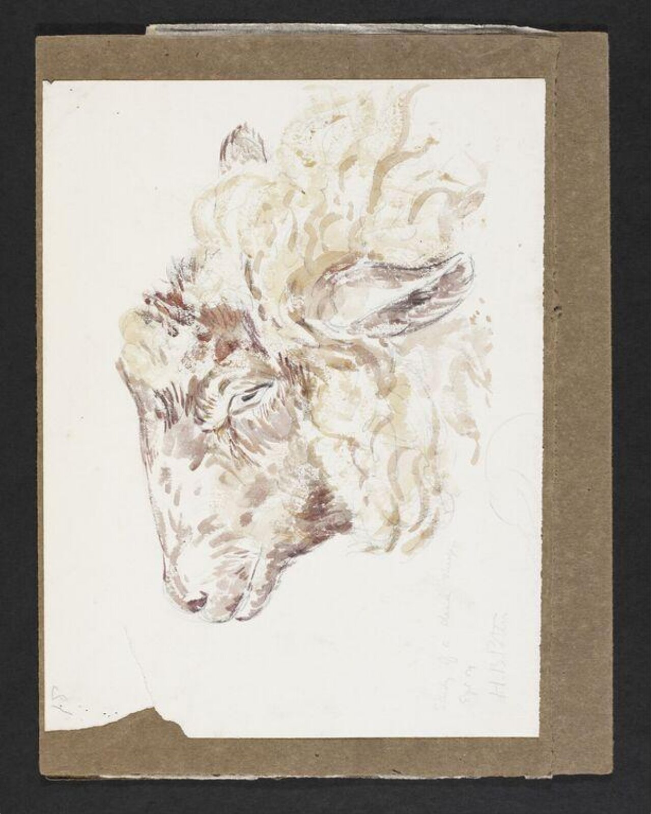 Watercolour, Beatrix Potter, September 1904