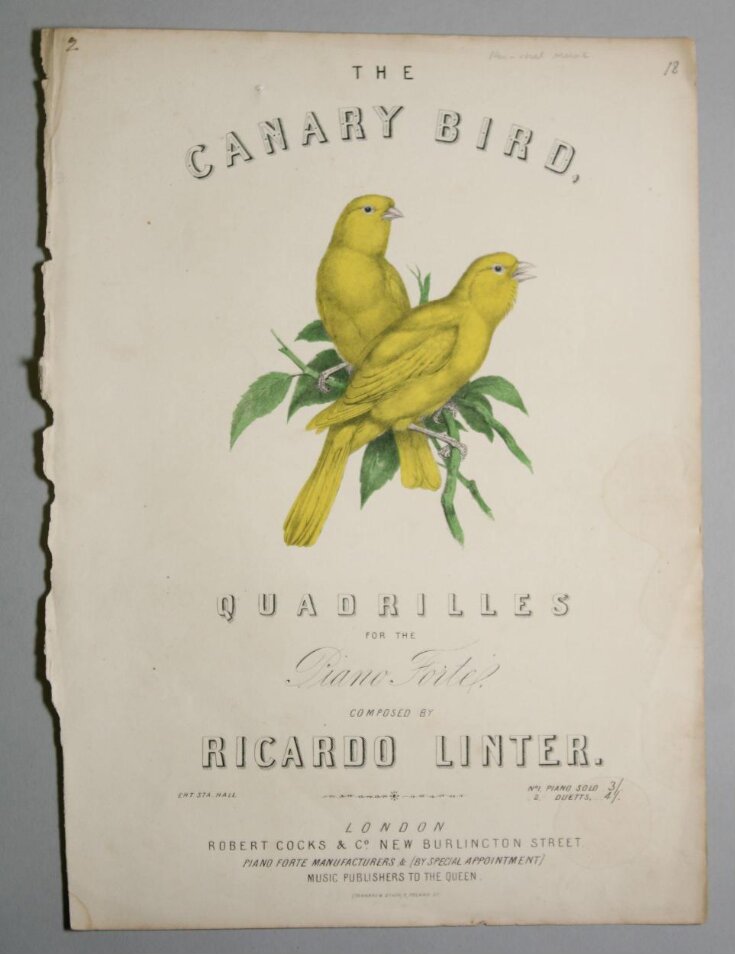 The Canary Bird top image