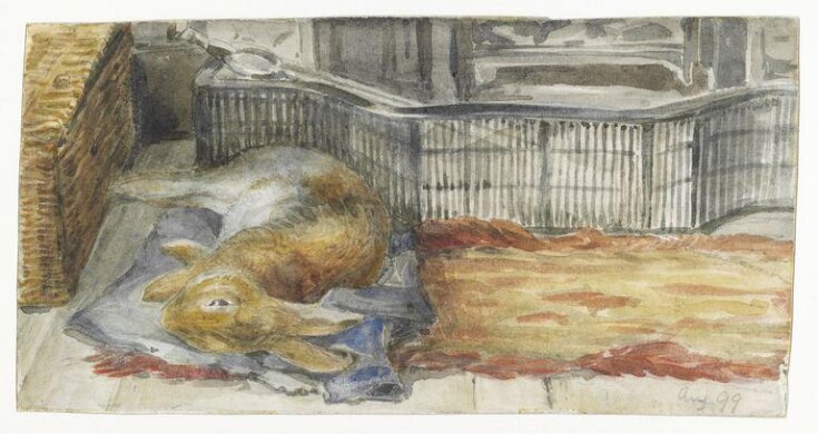 Peter Piper lying on his blue quilt by the fire top image