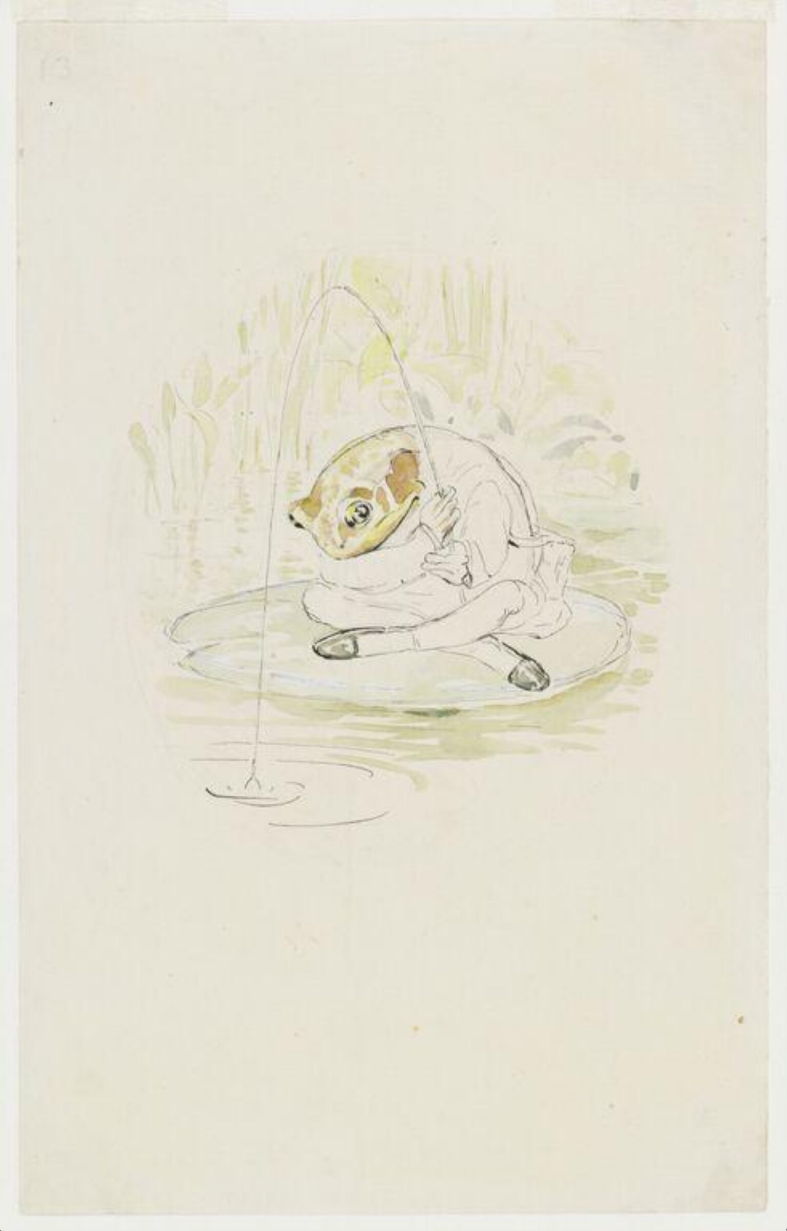 Jeremy Fisher sitting fishing on a waterlily leaf: preparatory drawing for The tale of Mr. Jeremy Fisher, Beatrix Potter, 1906