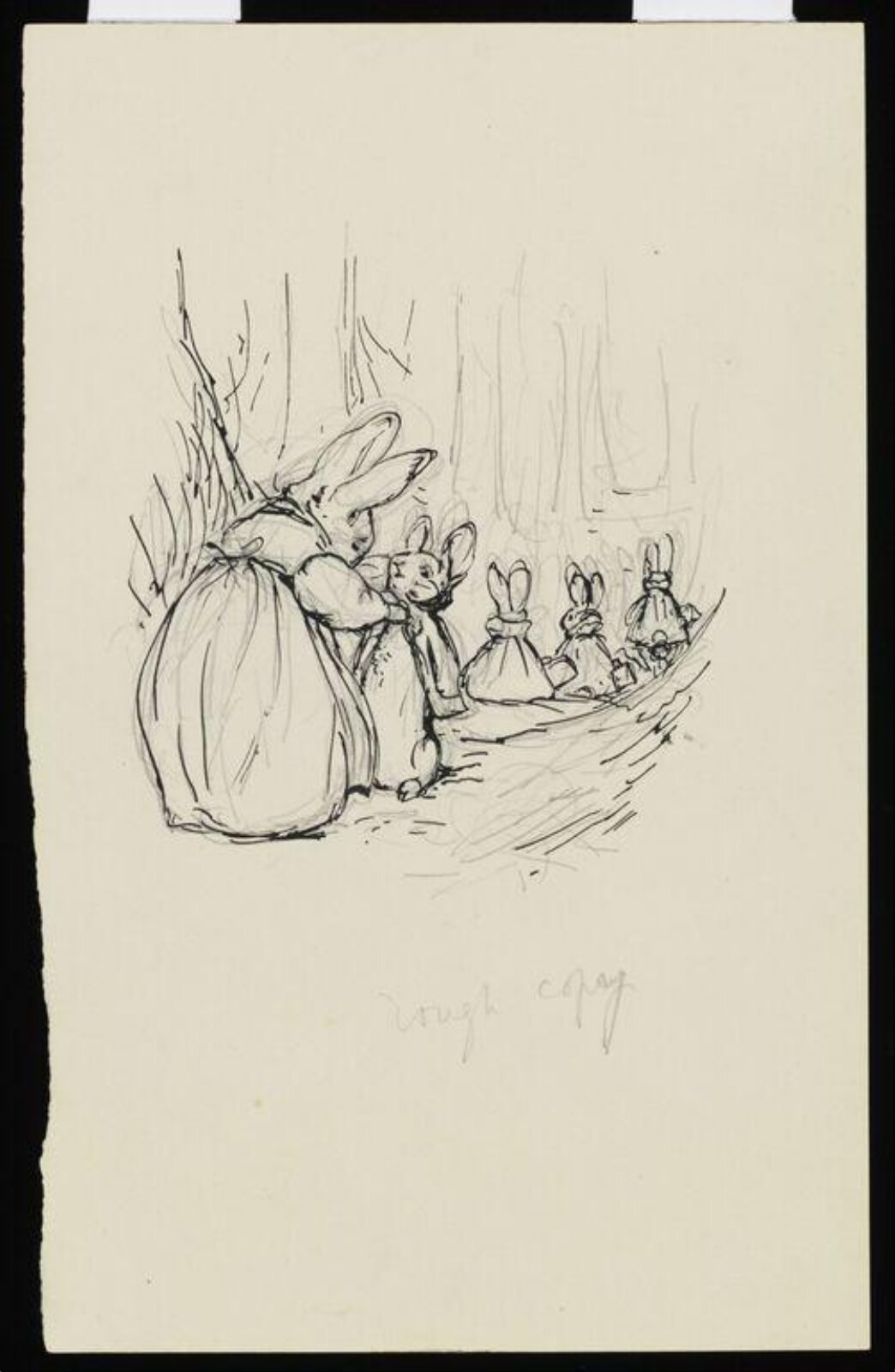 drawing, Beatrix Potter, 1900-1