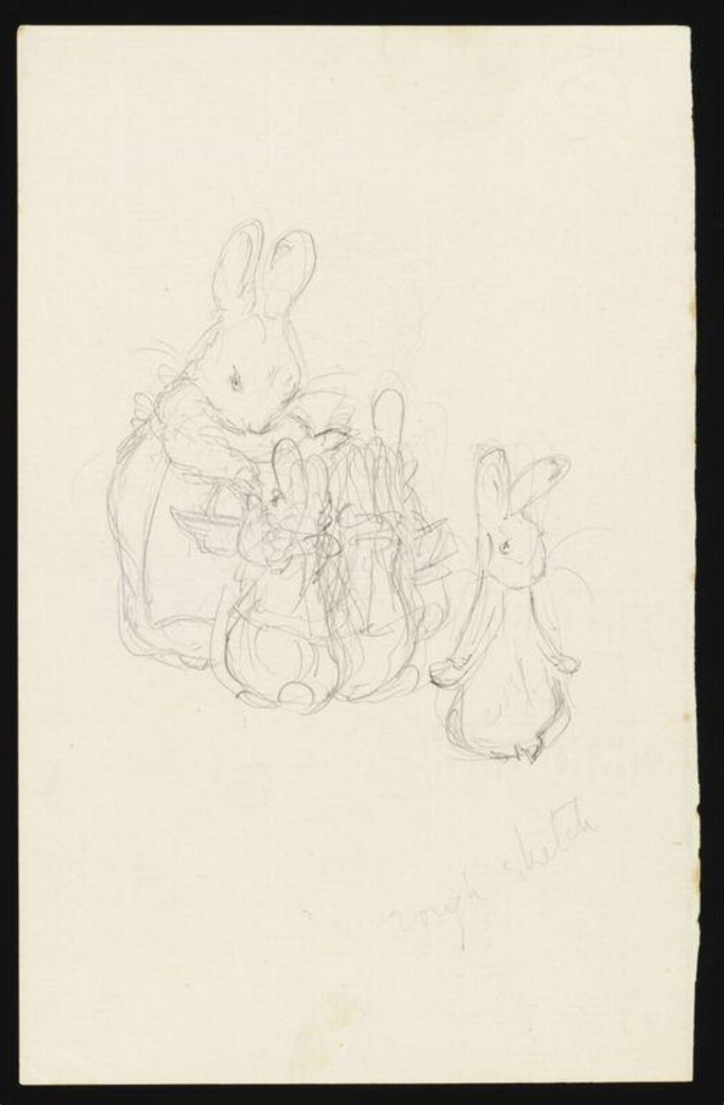 drawing, Beatrix Potter, 1900-1