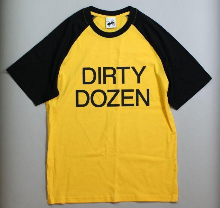 Dirty Dozen image