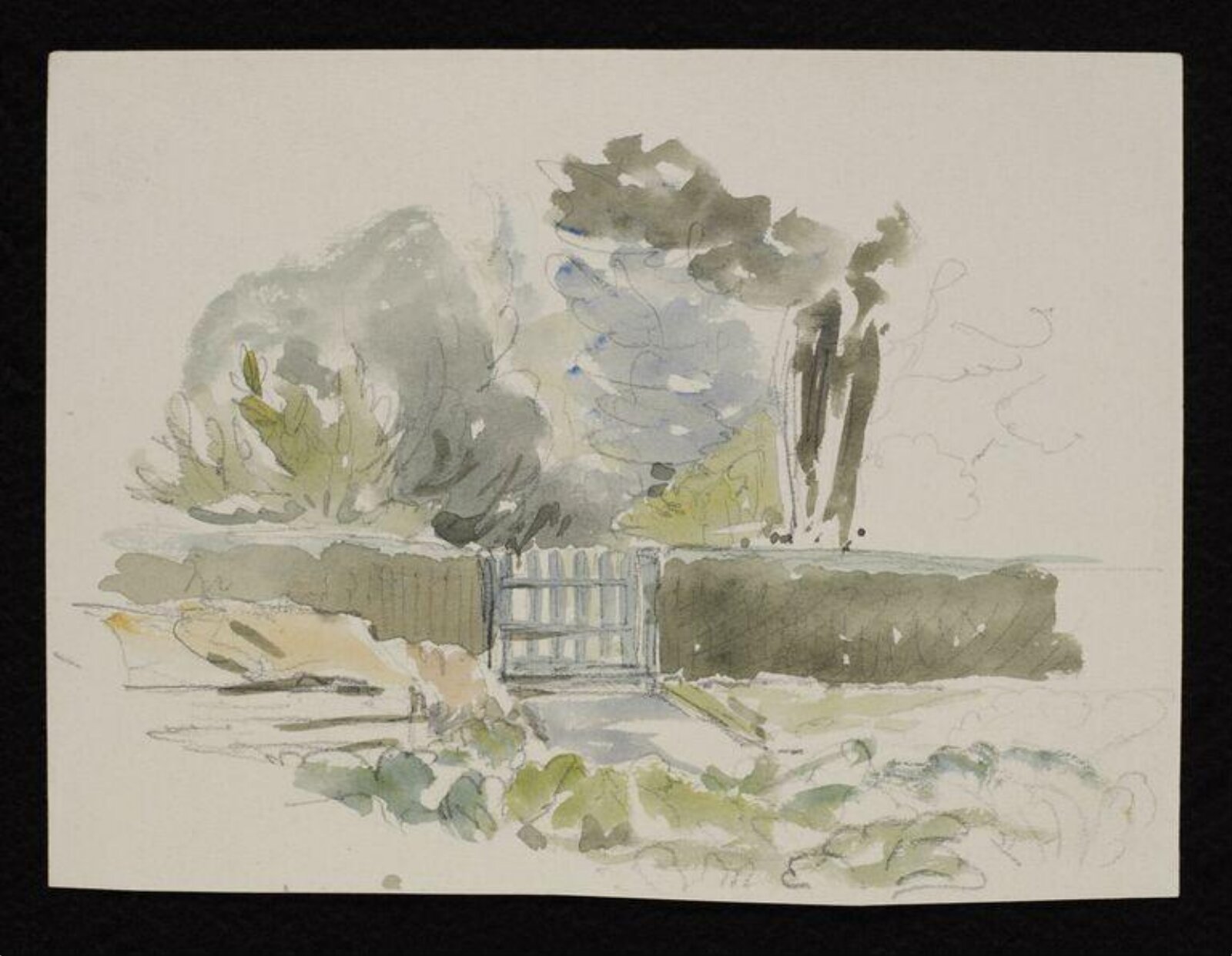 Watercolour, Beatrix Potter, 1900-1