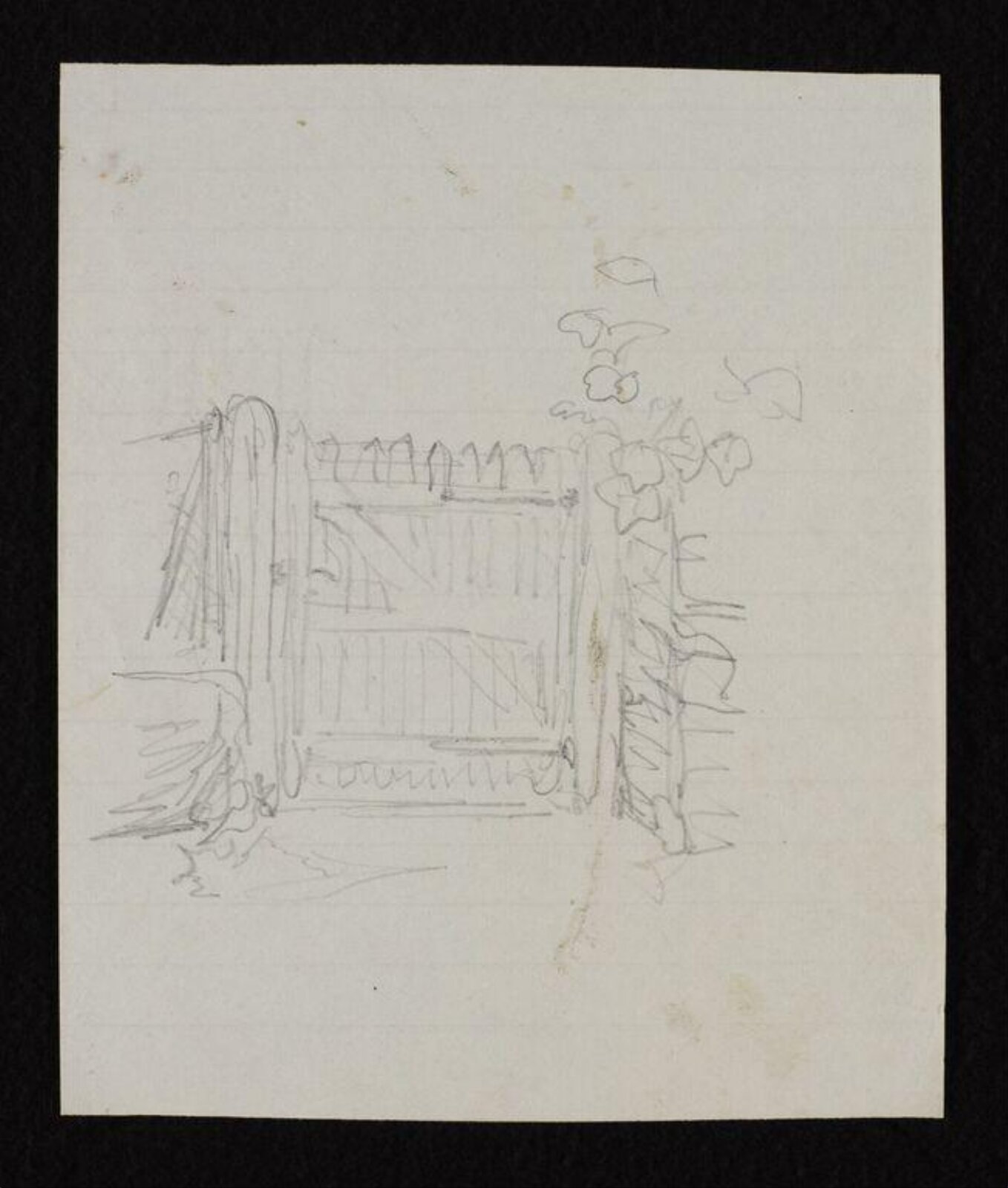 drawing, Beatrix Potter, 1900-1