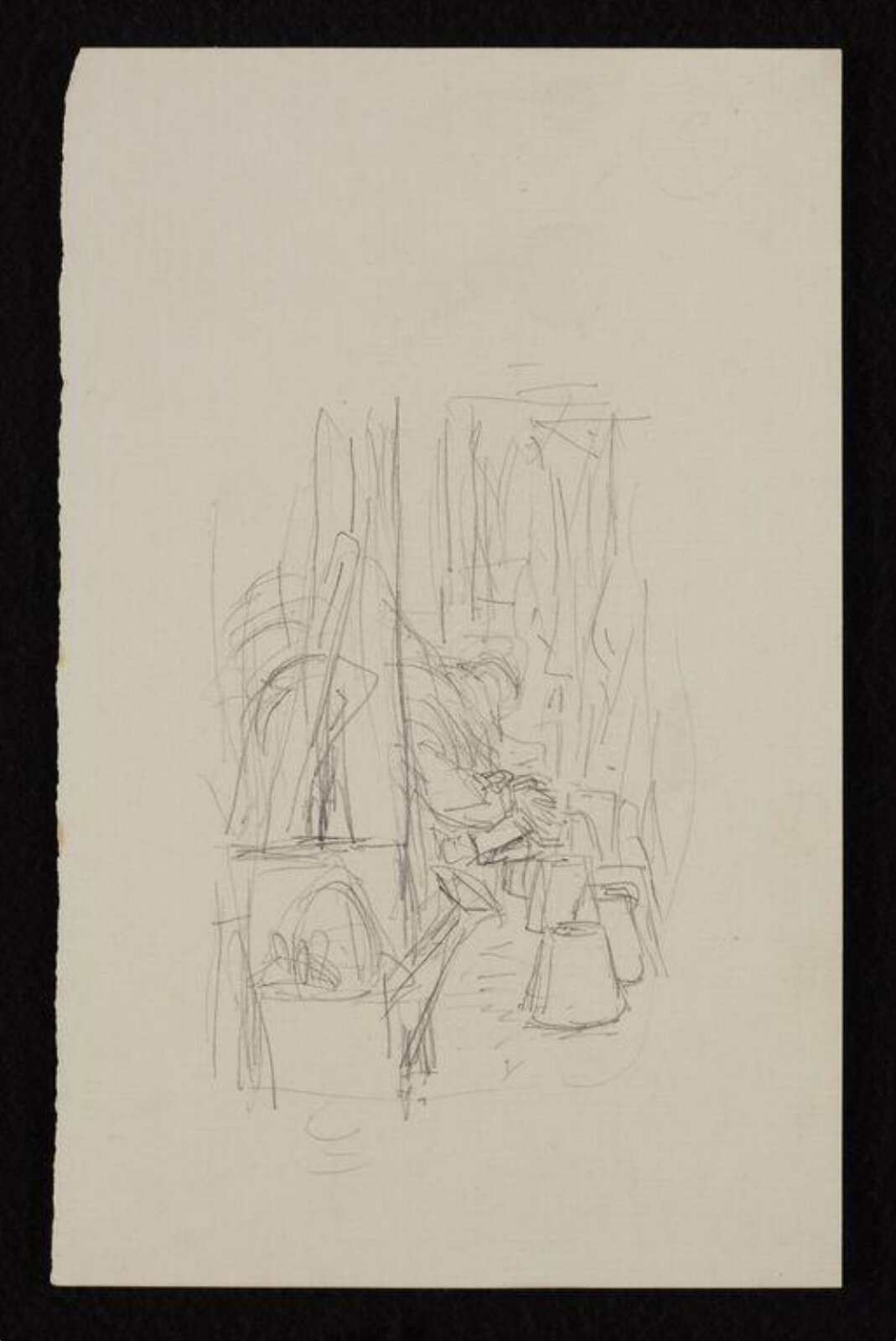 drawing, Beatrix Potter, 1900-1
