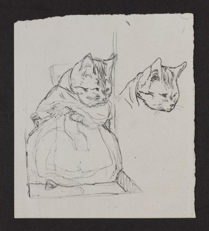 Drawing of a cat knitting and sketch of a cat's head top image