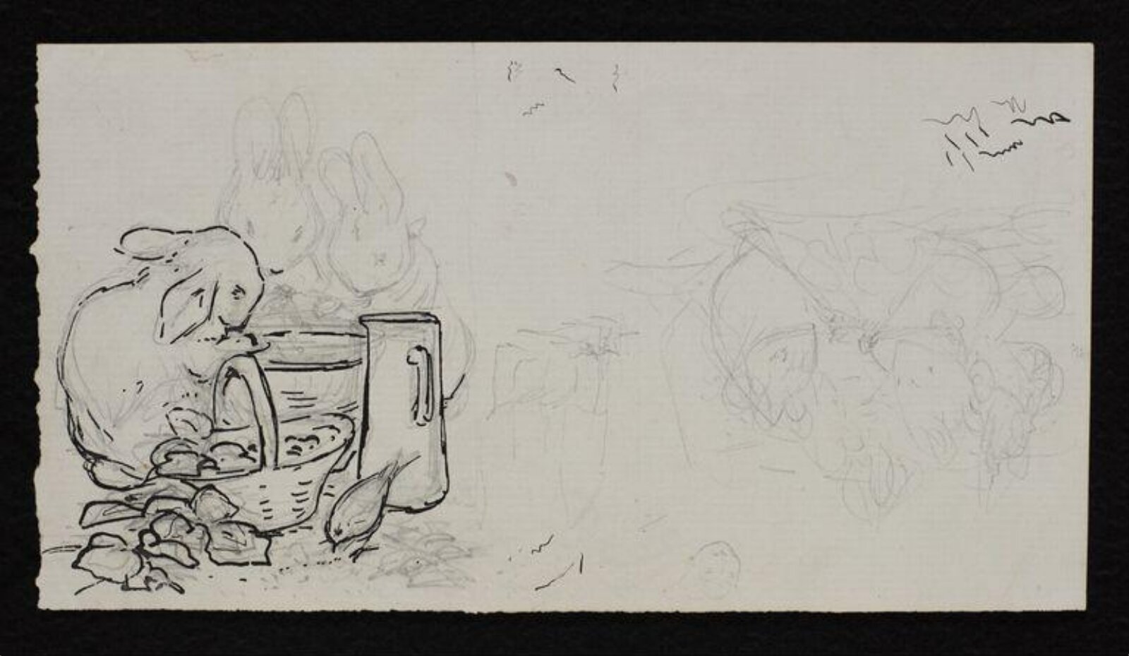 drawing, Beatrix Potter, 1900-1