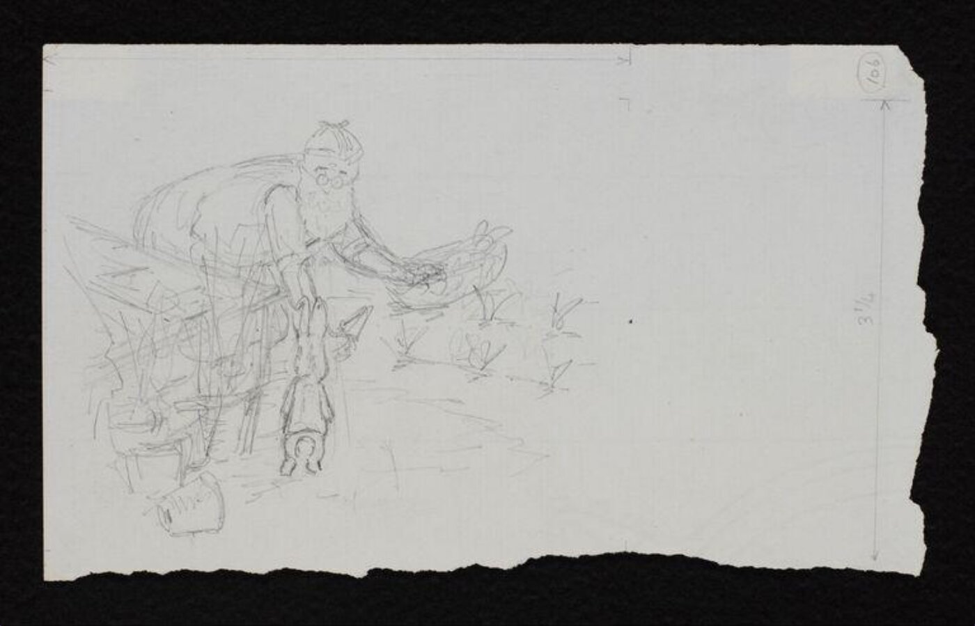 Potter, Beatrix, drawing