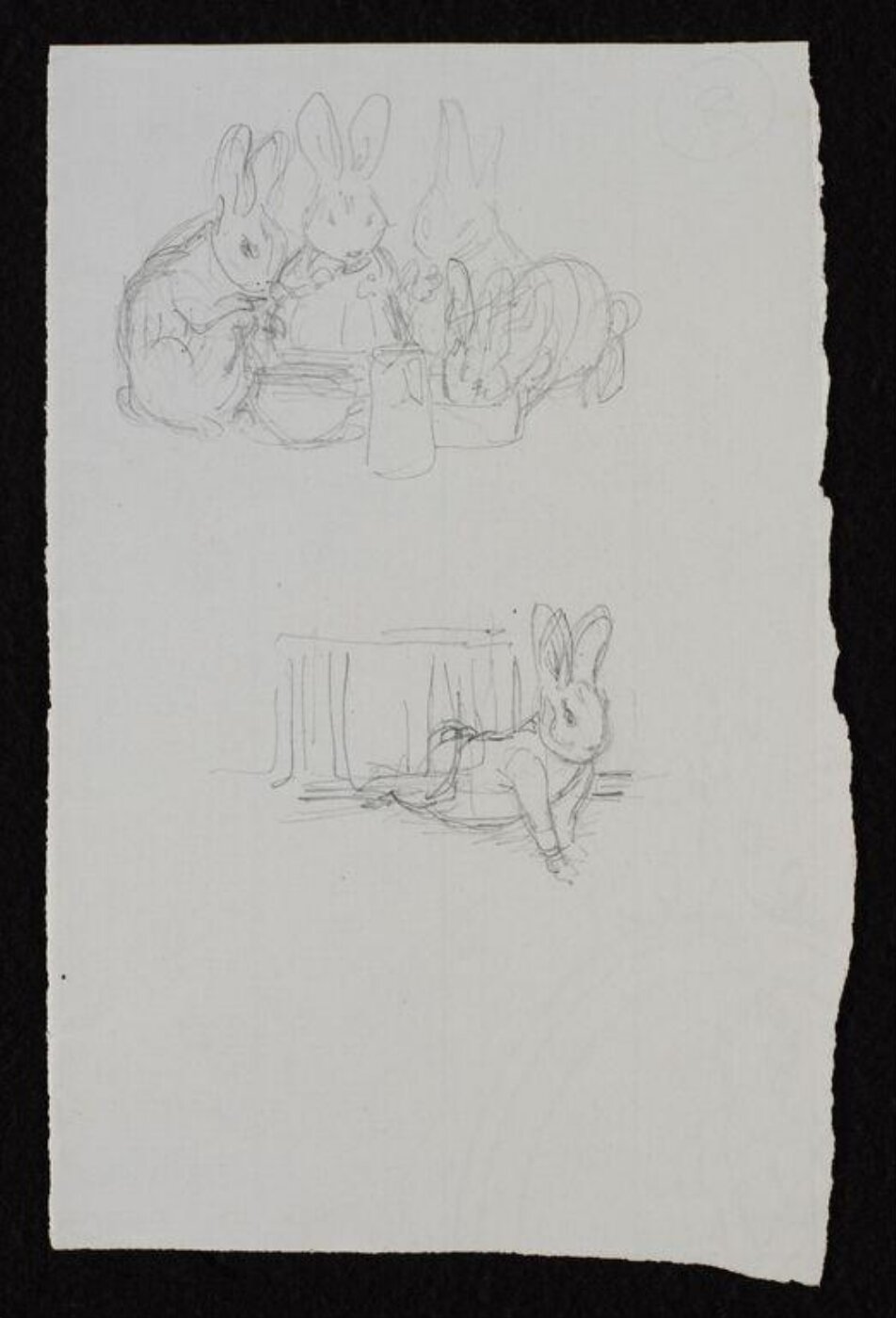 Potter, Beatrix, drawing