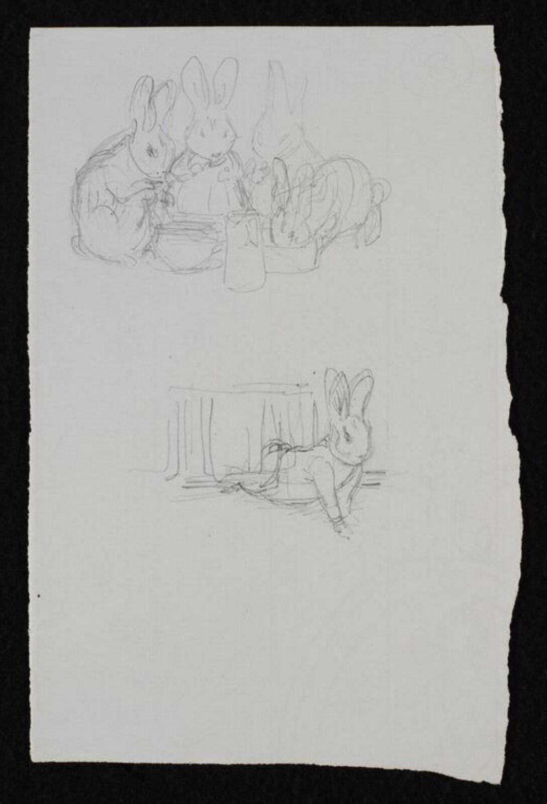 drawing, Beatrix Potter, 1900-1