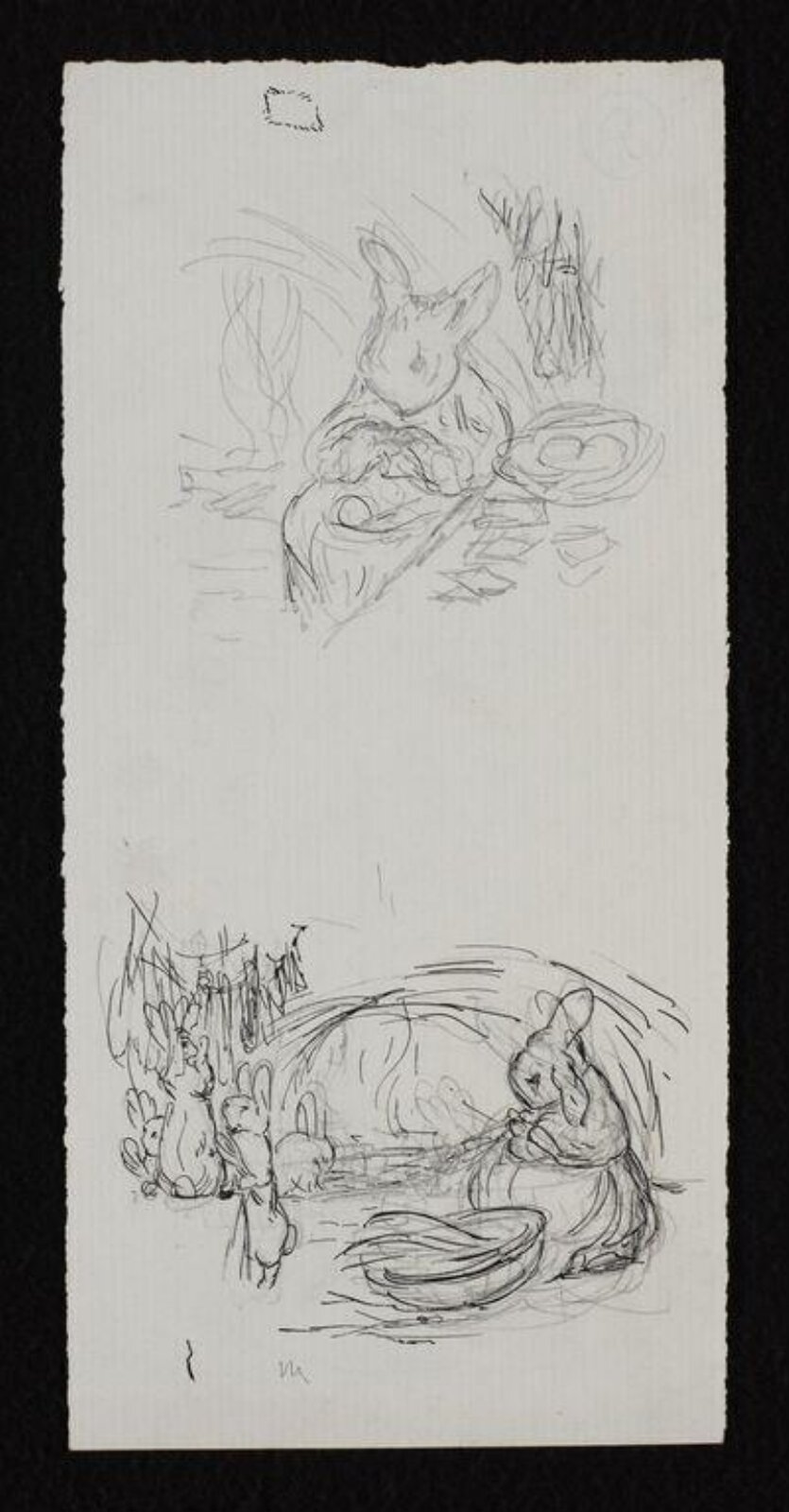 drawing, Beatrix Potter, 1900-1