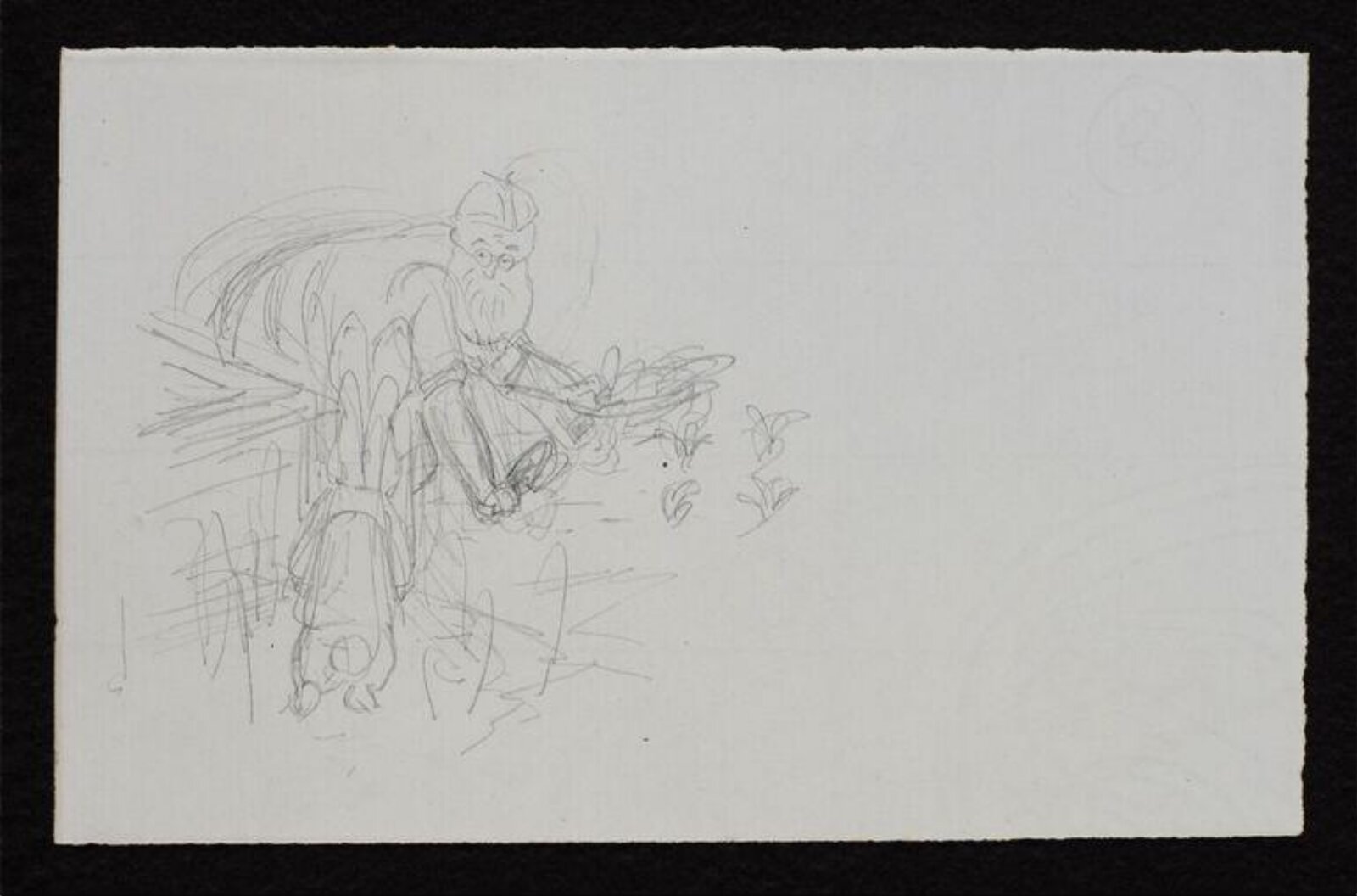 drawing, Beatrix Potter, 1900-1