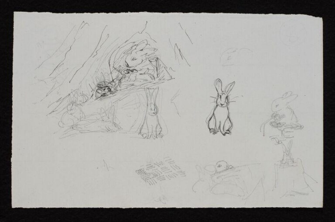 Potter, Beatrix, drawing