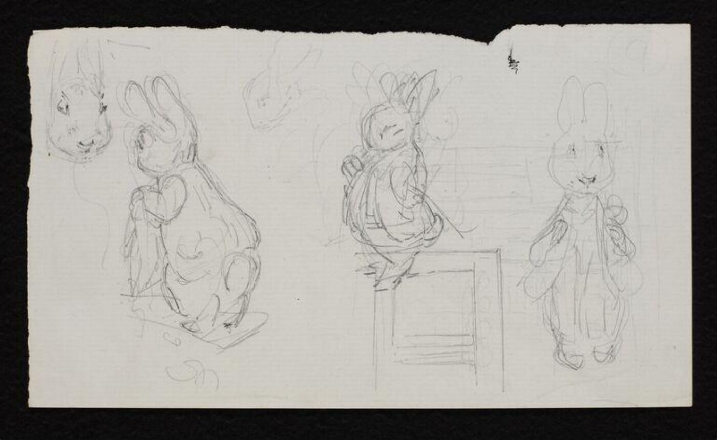 Potter, Beatrix, drawing