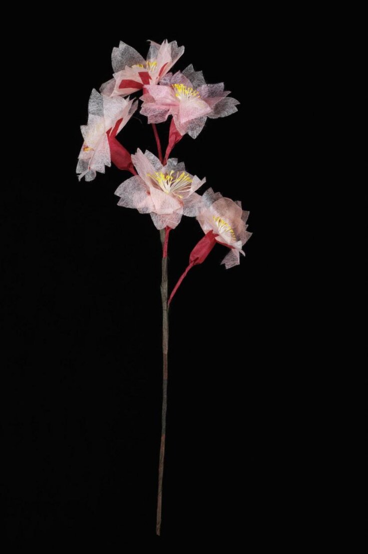 Cherry Blossom paper image