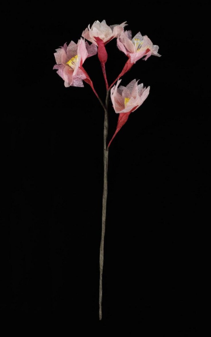 Cherry Blossom paper image