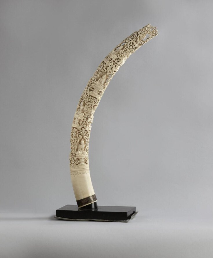 Carved Elephant Tusk top image