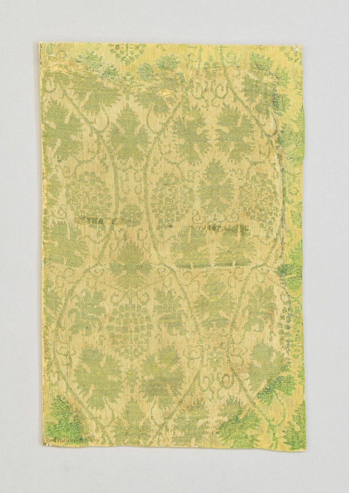 Painting, Rosa Wallis, 1892
