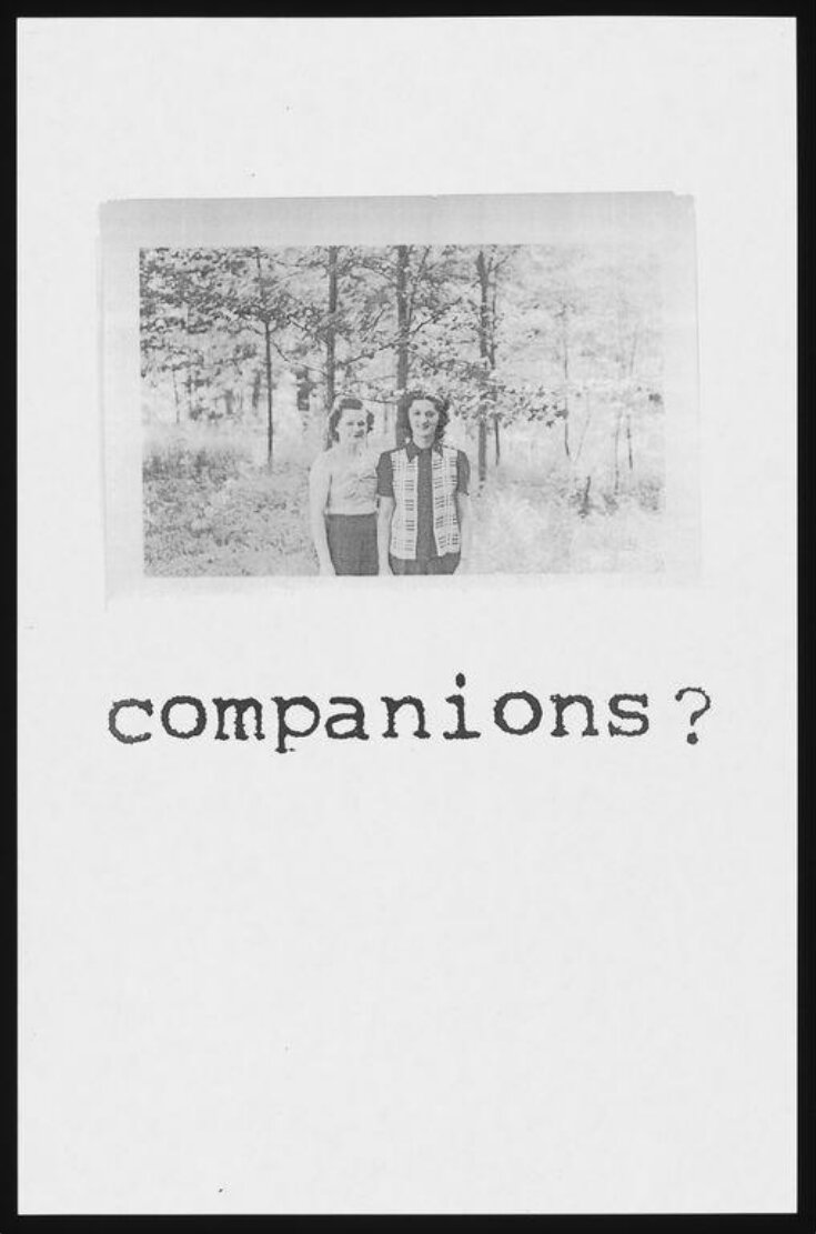 Companions? image